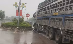 Xe tải va chạm xe đạp, cụ ông tử vong trên đường đi cấp cứu