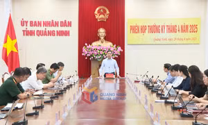 UBND tỉnh họp thường kỳ tháng 4