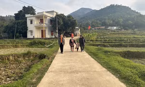 Nỗ lực hoàn thành kiểm kê tài sản kết cấu hạ tầng