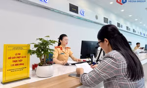 Cảnh sát Giao thông giải quyết 2.447 hồ sơ cấp đổi Giấy phép lái xe sau 1 tháng tiếp nhận  