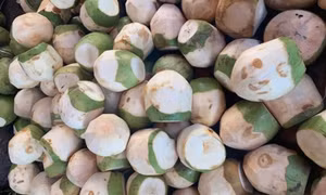 Cách cho trẻ uống nước dừa vào mùa hè