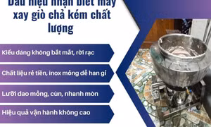 Mẹo nhận biết máy xay giò chả kém chất lượng đầy đủ và chi tiết