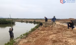 Sử dụng hiệu quả tài nguyên đất