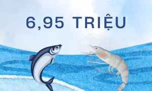 6,95 triệu - số con giống tôm, cá các loại được toàn tỉnh thả ra môi trường tự nhiên năm 2025