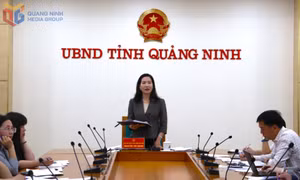 Quảng Ninh triển khai nhiều nhiệm vụ thực hiện công điện số 34 của Thủ tướng Chính phủ