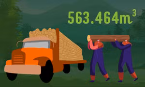 563.464 m3 - là sản lượng khai thác gỗ rừng trồng 3 tháng đầu năm trên địa bàn tỉnh
