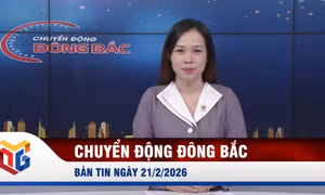 Chuyển động Đông Bắc ngày 21/2/2026