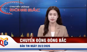 Chuyển động Đông Bắc ngày 28/2/2026