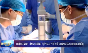 Quảng Ninh tăng cường hợp tác y tế với Quảng Tây (Trung Quốc)