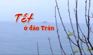 Tết ở đảo Trần
