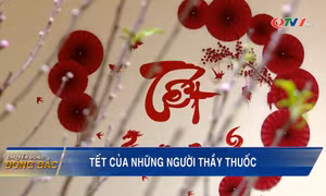 Tết của những người thầy thuốc