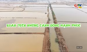 Tết về với Quảng Ninh: Xuân trên những cánh đồng hạnh phúc