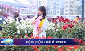 Nhộn nhịp hội hoa xuân Tết Bính Ngọ