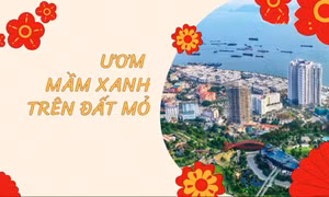 Tết về với Quảng Ninh: Ươm mầm xanh trên đất mỏ