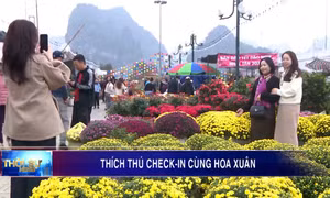 Thích thú check-in cùng hoa xuân