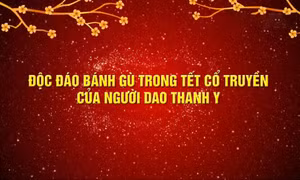 Độc đáo bánh gù trong Tết cổ truyền của người Dao Thanh Y