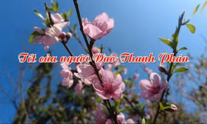 Tết của người Dao Thanh Phán