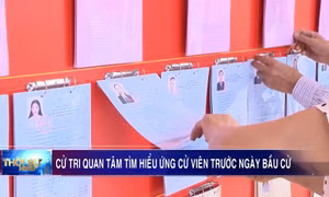Cử tri quan tâm tìm hiểu ứng cử viên trước ngày bầu cử