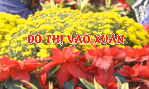 Đô thị vào xuân