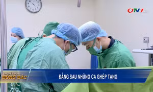 Đằng sau những ca ghép tạng