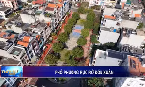 Phố phường rực rỡ đón xuân