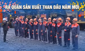 Ra quân sản xuất than đầu năm mới