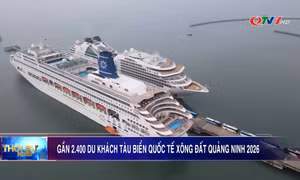 Gần 2 400 du khách tàu biển quốc tế xông đất Quảng Ninh 2026