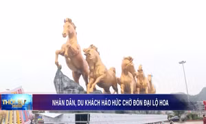 Nhân dân, du khách háo hức chờ đón Đại lộ hoa