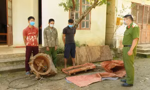 Hai bố con cùng cháu ruột rủ nhau đi khai thác vàng giữa mùa dịch