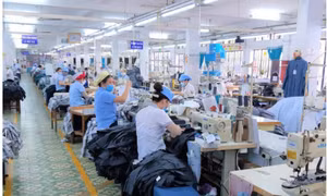 Sớm tháo gỡ hai điểm nghẽn để thực hiện mục tiêu kép