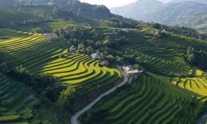 Hàng loạt địa phương hưởng ứng khôi phục du lịch nội địa