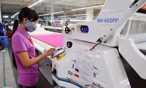 Doanh nghiệp nước ngoài đánh giá cao tiềm năng của Việt Nam sau dịch