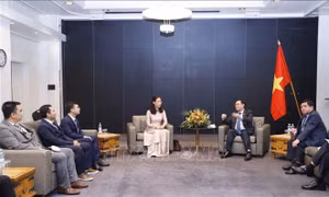 Chủ tịch Quốc hội tiếp đại diện các doanh nghiệp trẻ người Việt tại Phần Lan