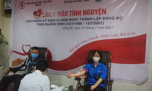 Sinh viên hết mình vì phong trào tình nguyện