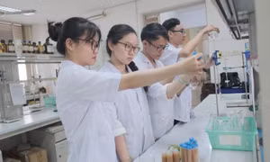 Chiết xuất hoạt chất trong bưởi non làm viên hạ mỡ máu