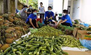 Heo, dê, gà, nông sản ùn ứ số lượng lớn