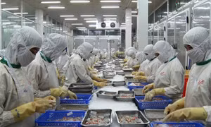 Tiếp sức cho doanh nghiệp khôi phục sản xuất