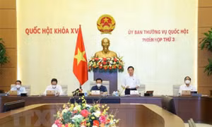 Kiểm soát chặt việc ban hành các văn bản quy định chi tiết