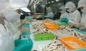 Xuất khẩu hải sản 8 tháng đầu năm 2021 đạt 2,1 tỷ USD