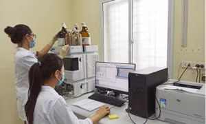 Tin vui trong nghiên cứu thuốc điều trị COVID-19 tại Việt Nam