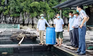 Tiếp sức cho doanh nghiệp 