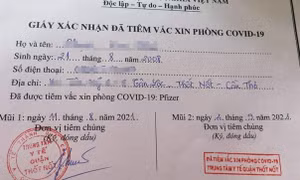 Tiêm vaccine cho trẻ 13 tuổi, Giám đốc Trung tâm y tế quận bị đình chỉ