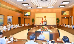 30.000 tỷ đồng hỗ trợ trực tiếp người lao động đang đóng bảo hiểm thất nghiệp