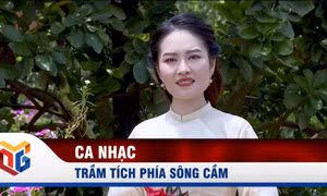 Trầm tích phía sông Cầm