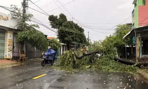 Khu vực đồng bằng và ven biển Bắc Bộ, Thanh Hóa, Nghệ An có mưa to