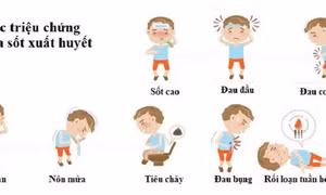 Trẻ mắc sốt xuất huyết: Những lưu ý trong điều trị, chăm sóc