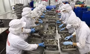 Bàn giải pháp tháo gỡ khó khăn cho ngành thủy sản