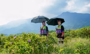 Nét đẹp trang phục truyền thống của phụ nữ Dao Thanh Y ở Hải Hà