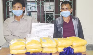 Bán 20 con bò góp vốn mua ma túy tổng hợp về bán kiếm lời