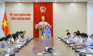 Triển khai nhiệm vụ cải thiện các chỉ số cải cách và năng lực cạnh tranh những tháng cuối năm 2021